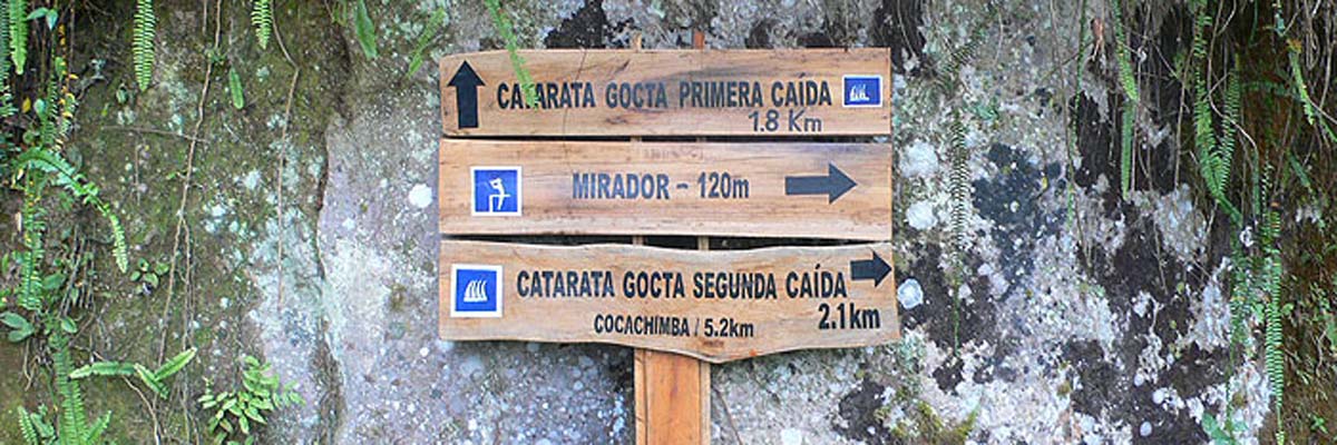 Catarata Gocta Full Day en Chachapoyas 